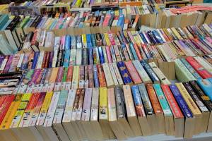 Controversy has erupted over some books on Alberta school library shelves. (File photo)